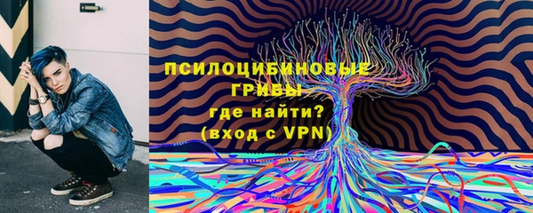 прущий лед Алексин