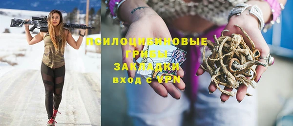 гашик Алексеевка