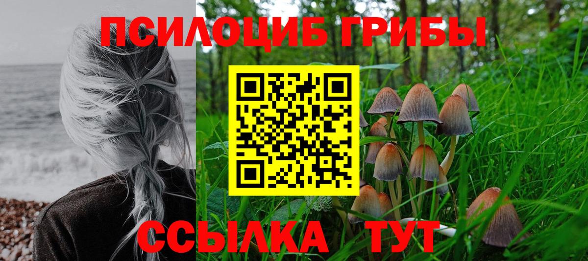 Псилоцибиновые грибы GOLDEN TEACHER Чебаркуль